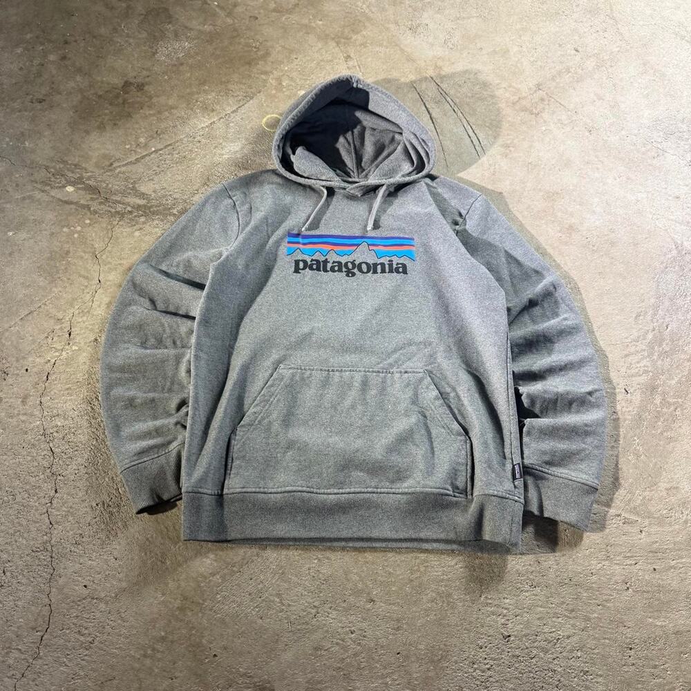 Grey Patagonia Graphic Logo Hoodie